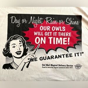 NWT Unisex Large Accio! Exclusive Owl Mail Staff Light Gray T-Shirt Harry Potter